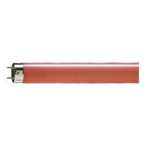 G13 T8 36W 60 Rod 1200mm Osram