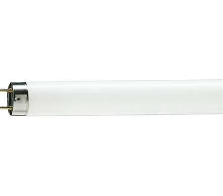 G13 T8 14-16W 840 Kallvit 361 375mm
