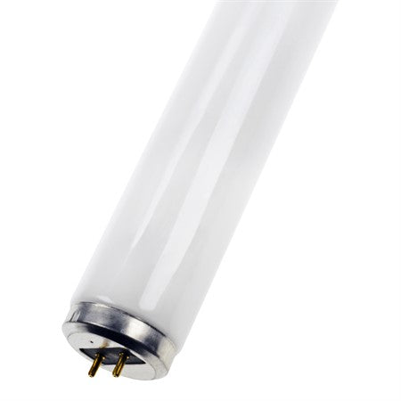 G13 T10 Lysror RS 20W 4100K 32x580 595mm