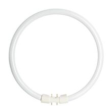 2GX13 T5 Cirkel 22W 840 528465