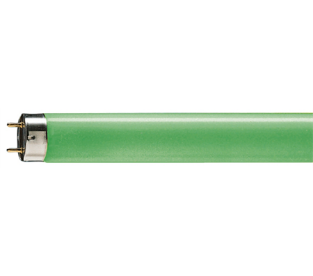 G13 T8 36W 17 Gron 1200mm Philips