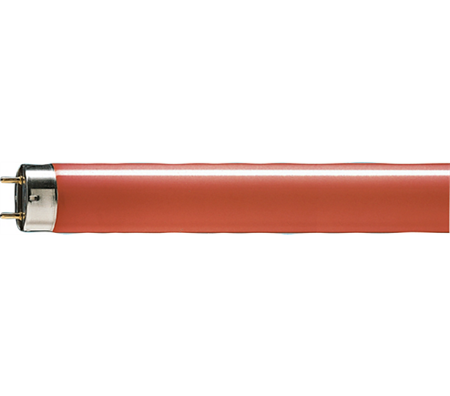G13 T8 18W 15 Rod 600mm Philips